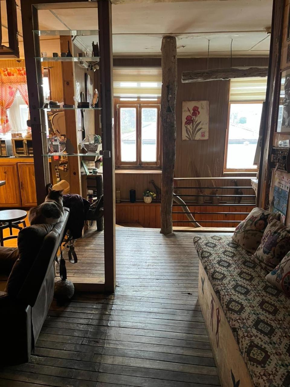 Hostel La Morenita بونتا أريناس المظهر الخارجي الصورة